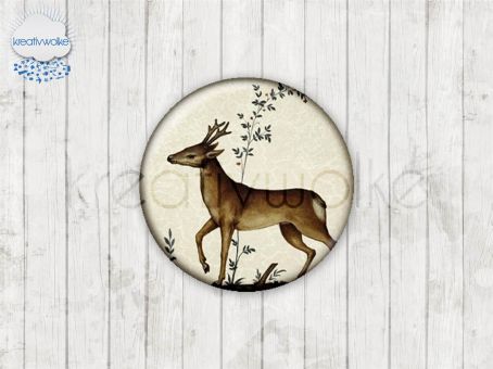 Motiv-Cabochons 49097-1 Einzelset  18mm (5 Stück)